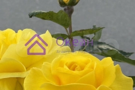 2-к. квартира, 72 м², 4/5 эт.